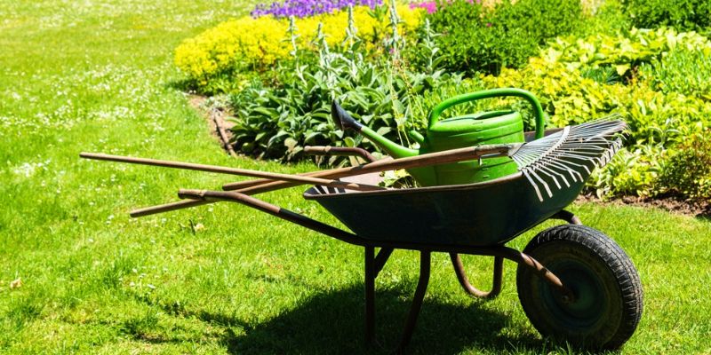 Lawn Maintenance Services