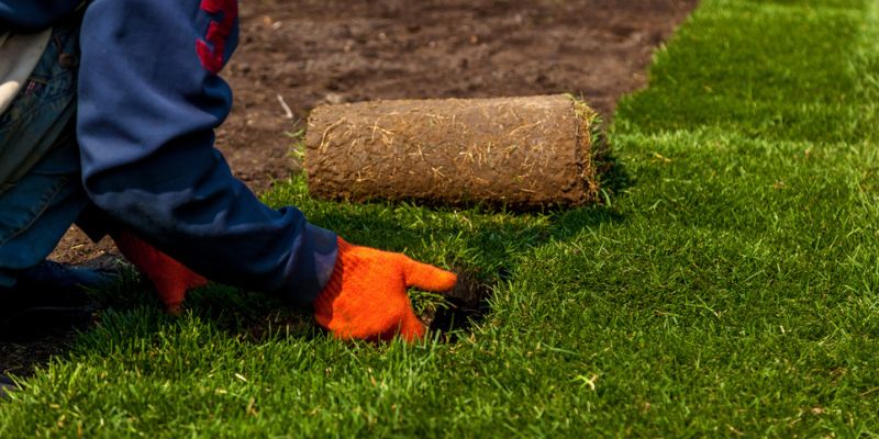 Sod Installation Services